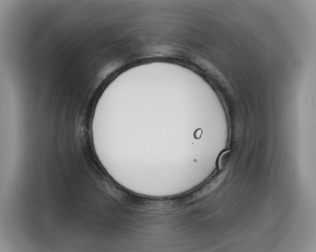 X0000115081210200911241135