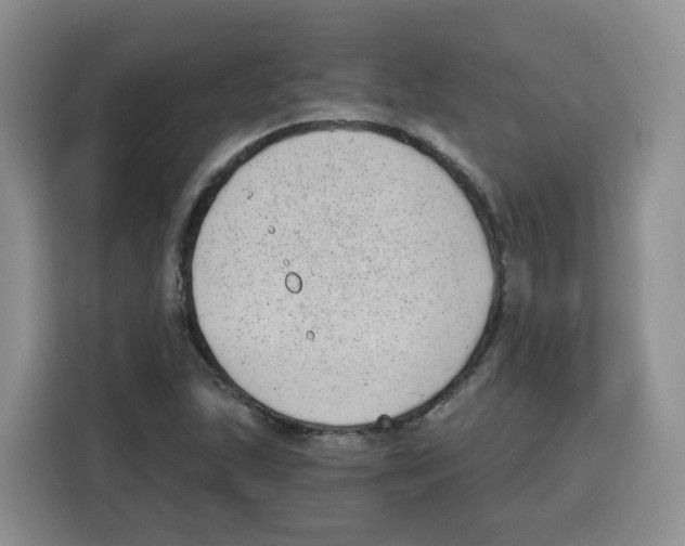 X0000115081215200911241135