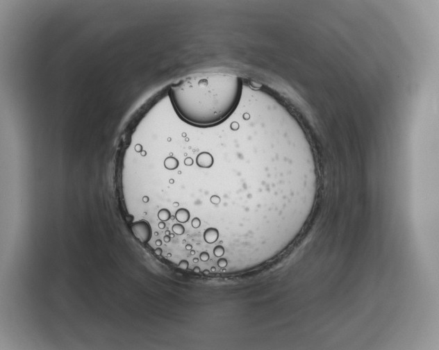 X0000115081216200911241135