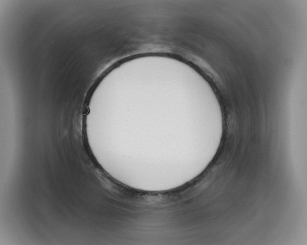 X0000115081220200911241135