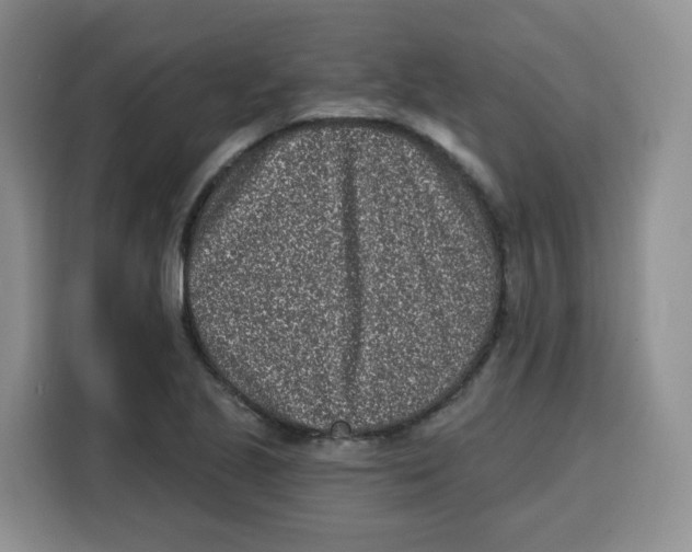 X0000115081221200911241135