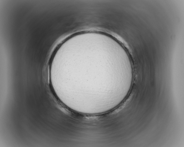 X0000115081223200911241135
