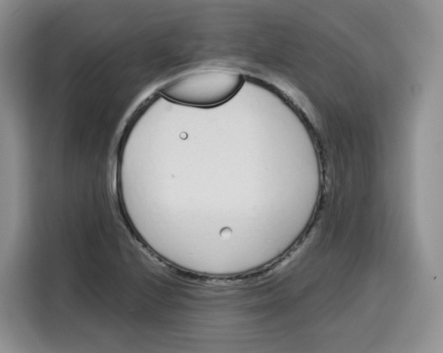 X0000115081224200911241135