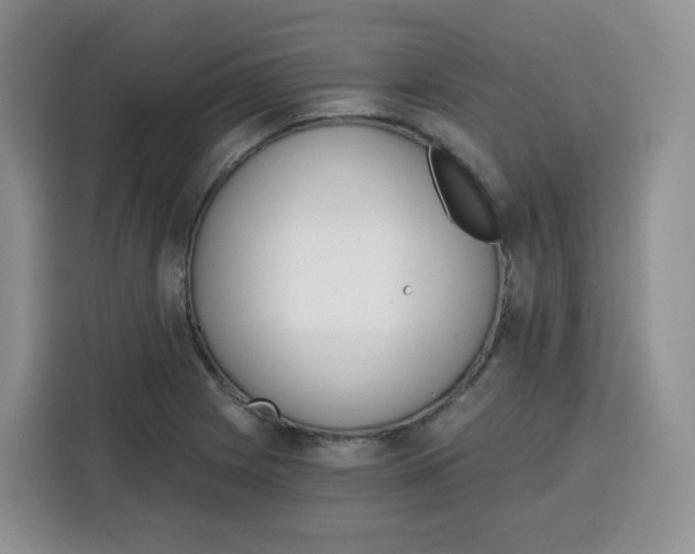 X0000115081225200911241135