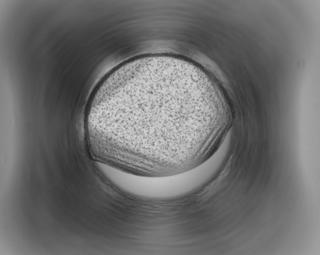 X0000115081226200911241135