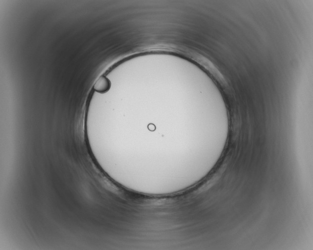 X0000115081228200911241135