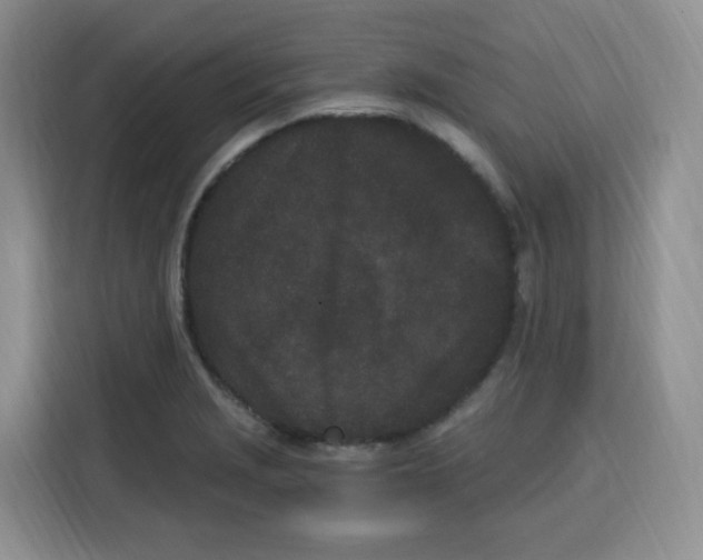 X0000115081229200911241135