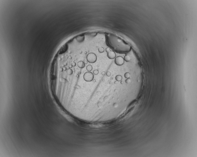 X0000115081231200911241135