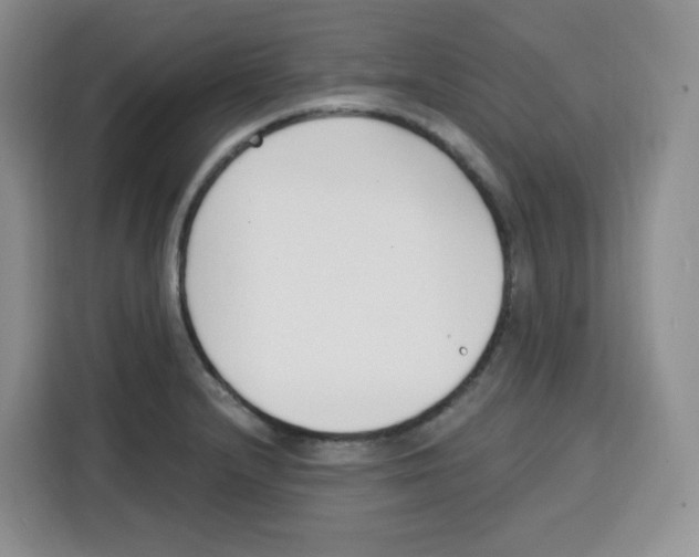X0000115081232200911241135