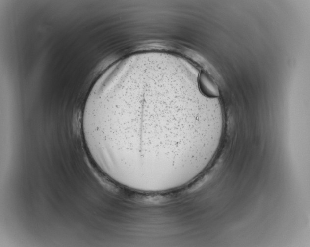 X0000115081233200911241135