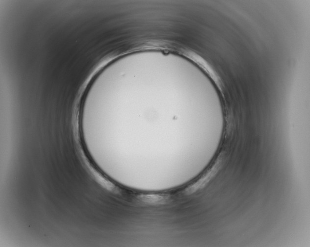 X0000115081235200911241135