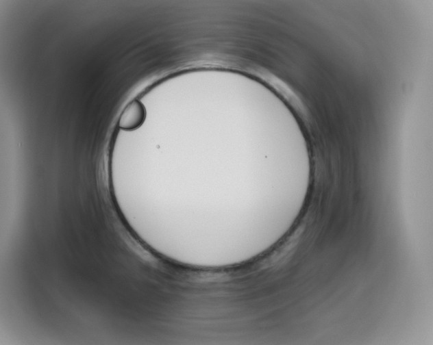 X0000115081238200911241136