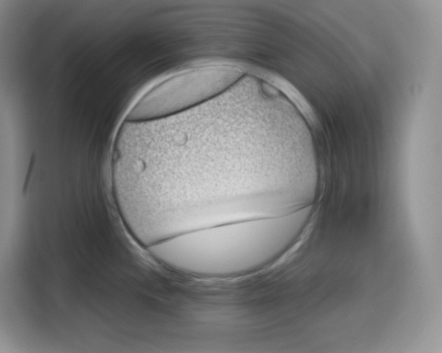 X0000115081244200911241136