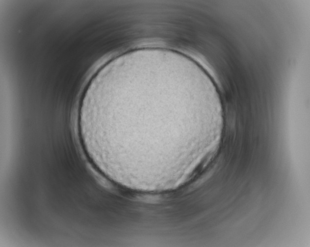 X0000115081245200911241136
