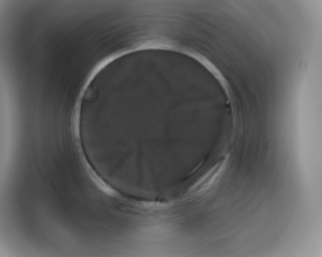 X0000115081246200911241136