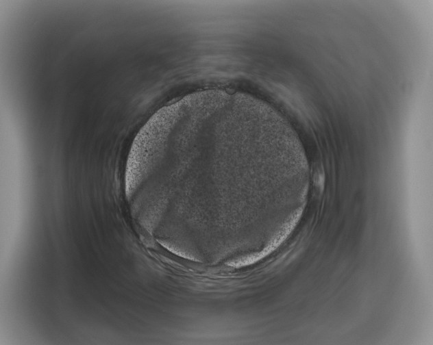 X0000115081252200911241135