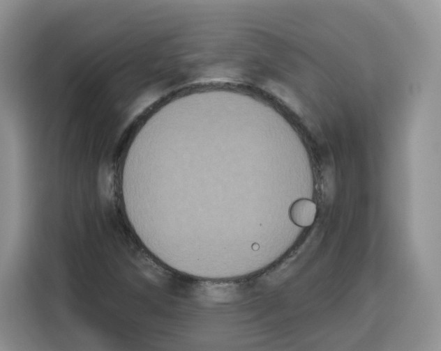 X0000115081258200911241135