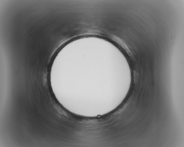 X0000115081260200911241135