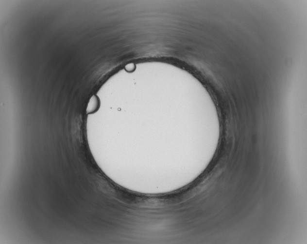 X0000115081265200911241135