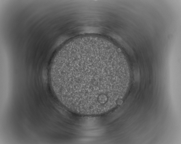 X0000115081266200911241135