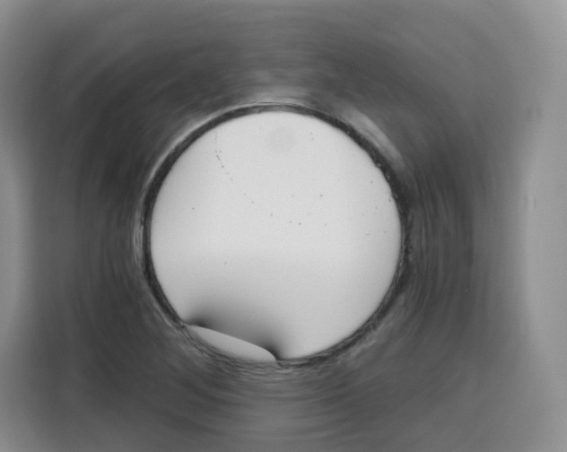 X0000115081268200911241135