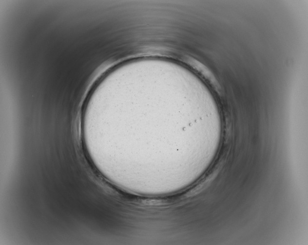 X0000115081275200911241135