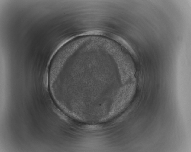 X0000115081276200911241135
