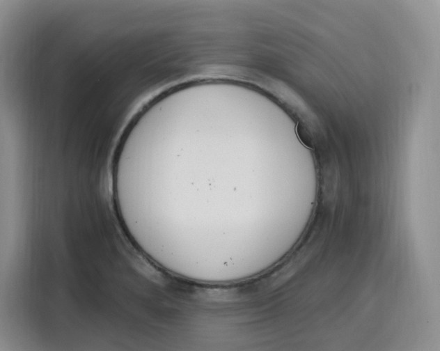 X0000115081280200911241135