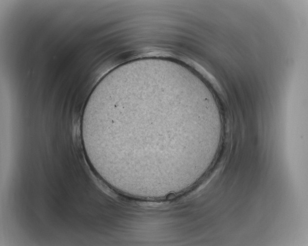 X0000115081281200911241135