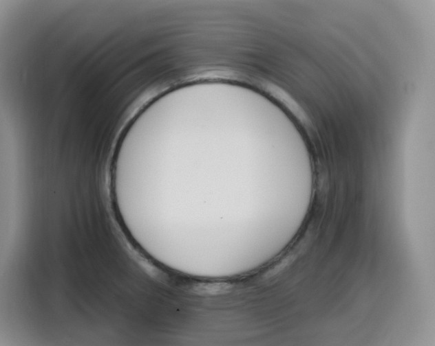 X0000115081282200911241135