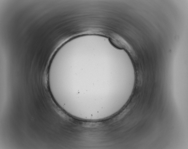 X0000115081284200911241135