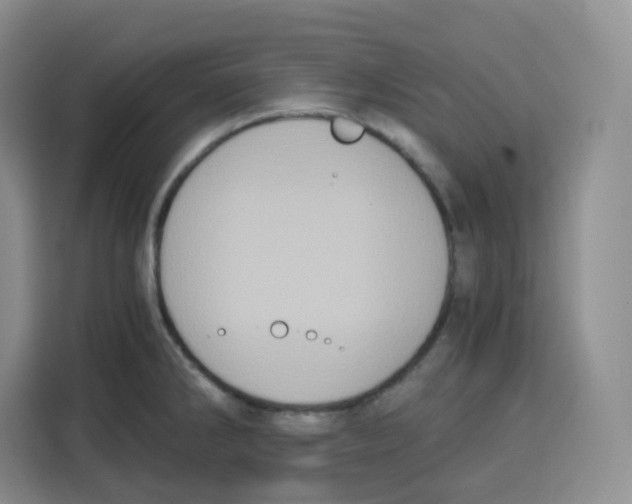 X0000115081286200911241135