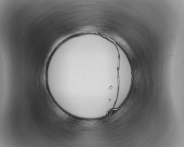 X0000115081288200911241135