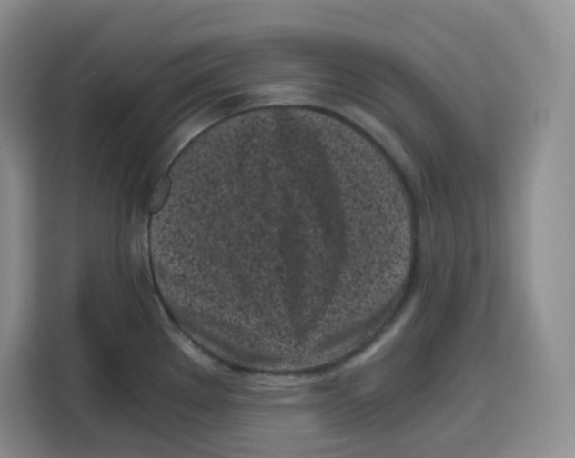 X0000115081289200911241135
