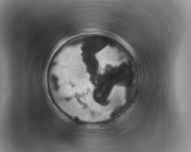 X0000115081291200911241134