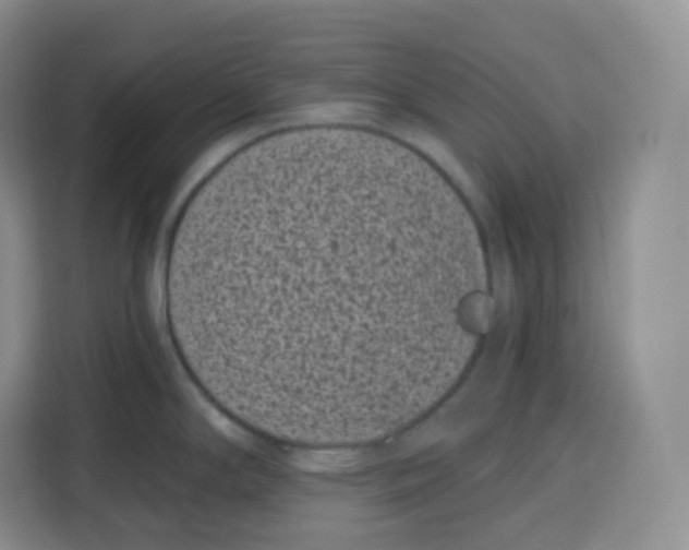 X0000115081294200911241134