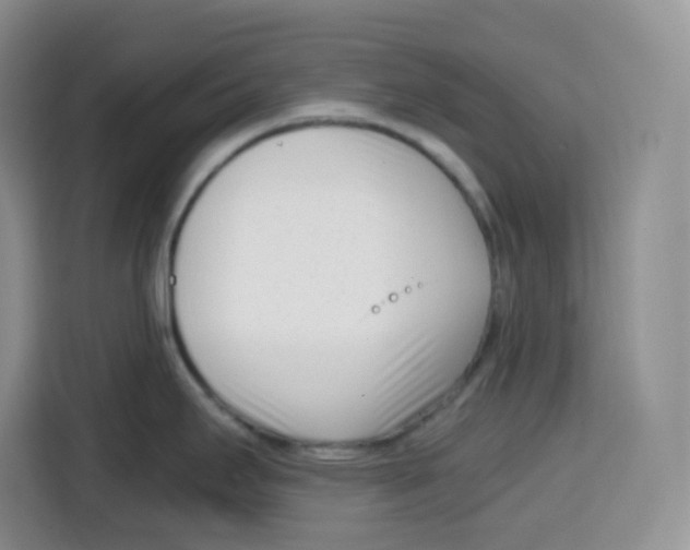X0000115081295200911241134