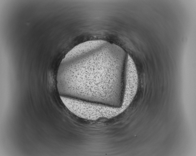 X0000115081298200911241134