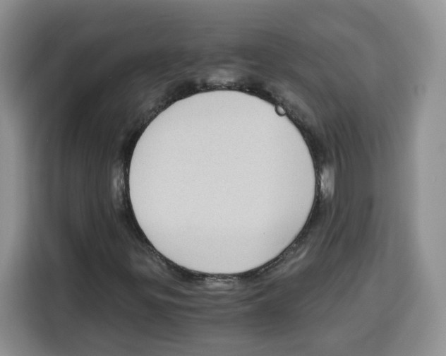 X0000115081299200911241134