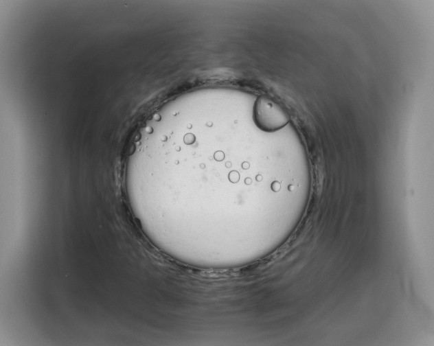 X0000115081301200911241134