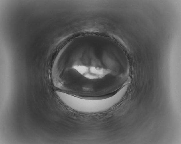 X0000115081303200911241134