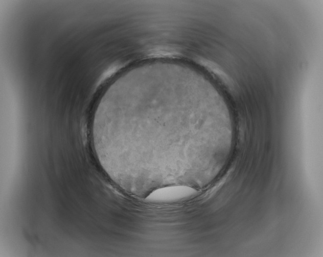 X0000115081306200911241134