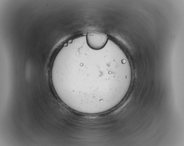 X0000115081309200911241134