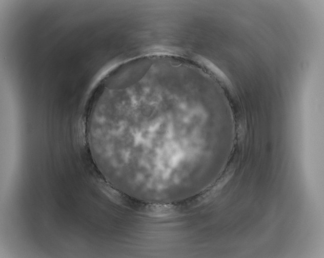 X0000115081310200911241134