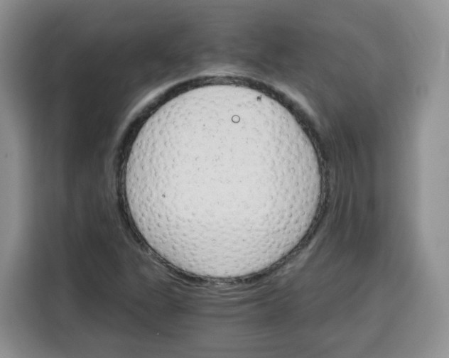 X0000115081311200911241134