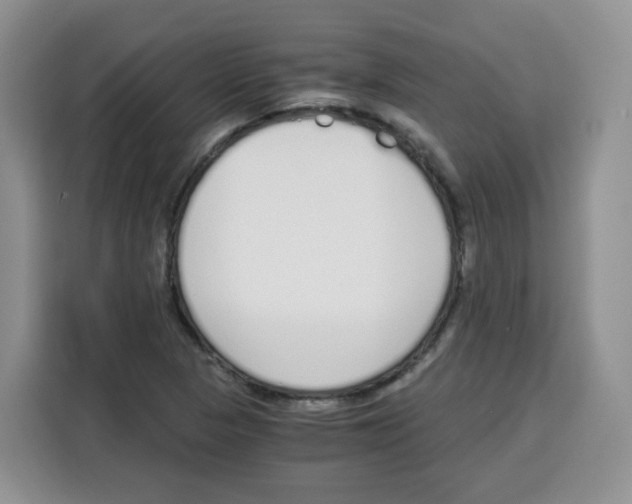 X0000115081313200911241134
