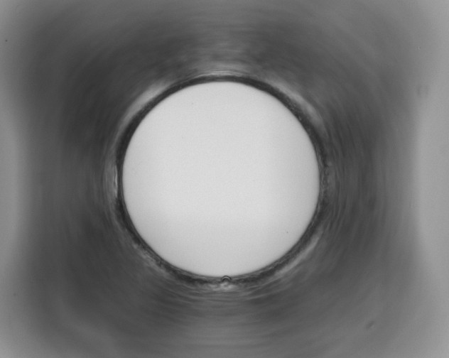 X0000115081317200911241134