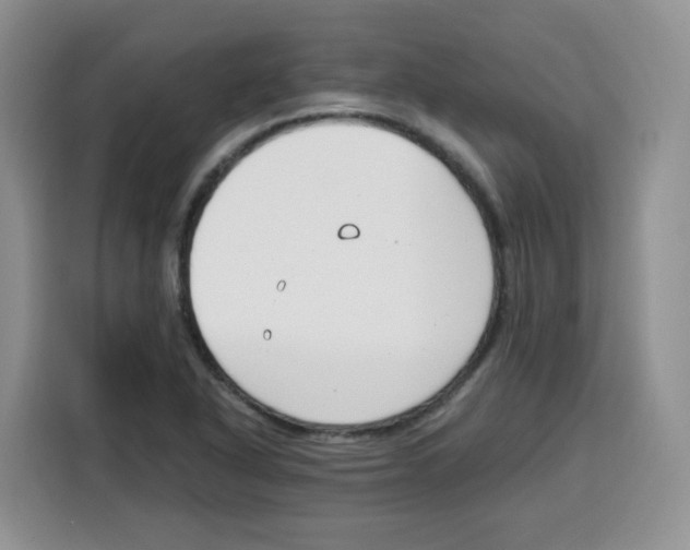 X0000115081318200911241134