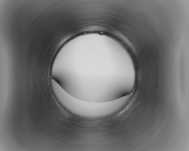 X0000115081321200911241134