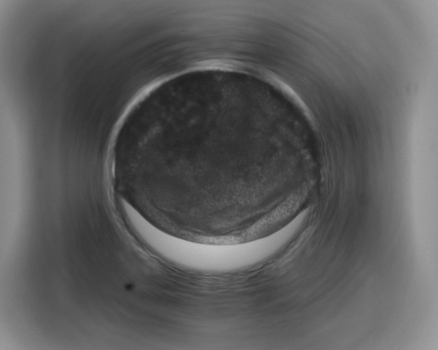 X0000115081323200911241134